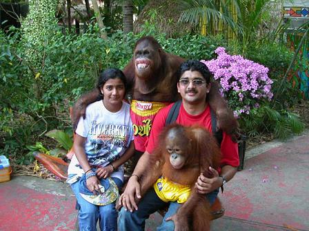 family_photo_with_chimpanzee_then.jpg